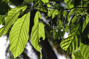 Similar image 22749143