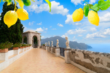 Similar image 22710435
