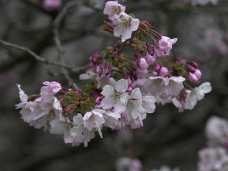 Similar image 22650679