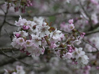 Similar image 22650680