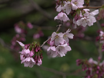 Similar image 22650694