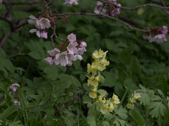 Similar image 22650683