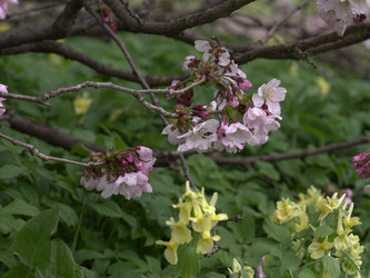 Similar image 22650684