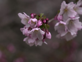 Similar image 22650685