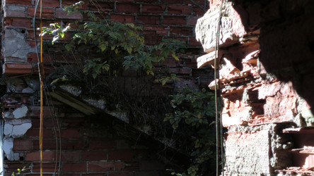 Similar image 22764142