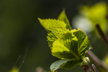 Similar image 22767083