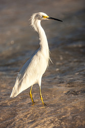 Similar image 22767473