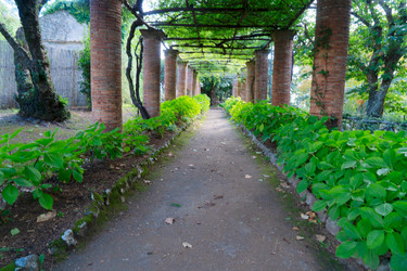 Similar image 22710224