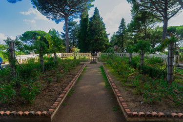 Similar image 22710313