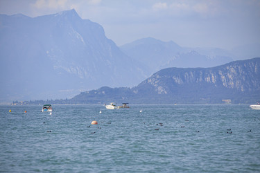 Similar image 22764065