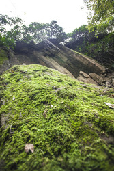 Similar image 22767366