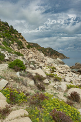 Similar image 22748991