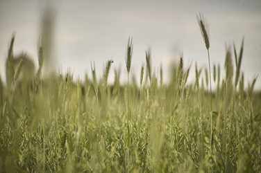 Similar image 22749184