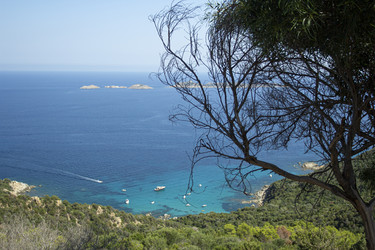 Similar image 22760072