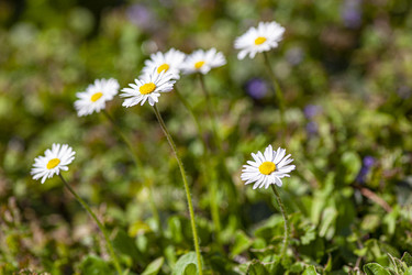 Similar image 22749185