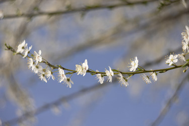 Similar image 22763813