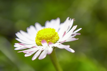 Similar image 22767235