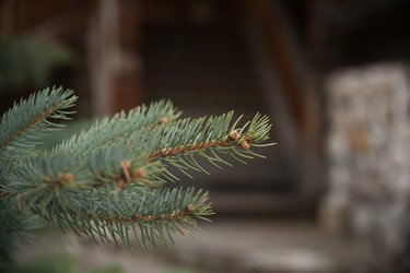 Similar image 22660181