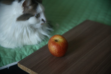 Similar image 22650351