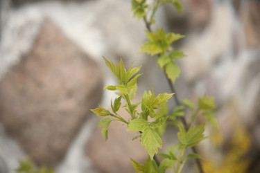 Similar image 22660185