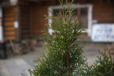 Similar image 22660151