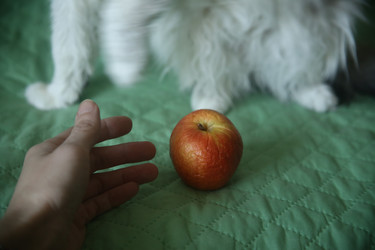 Similar image 22650318