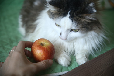 Similar image 22650319