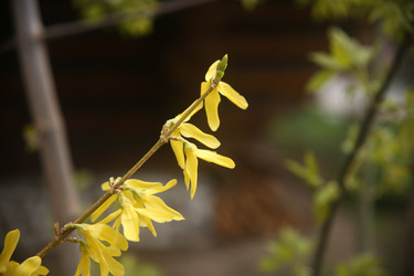 Similar image 22660153