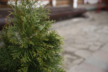 Similar image 22660154