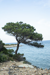 Similar image 22748621