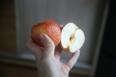 Similar image 22650325