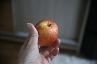 Similar image 22650329