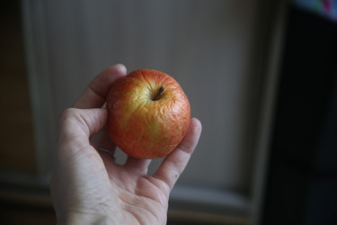Similar image 22650330