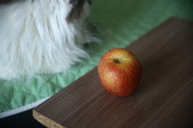 Similar image 22650332