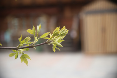 Similar image 22660178