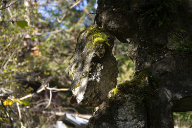 Similar image 22764096