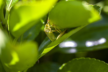 Similar image 22743188