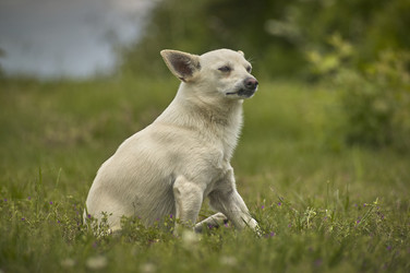 Similar image 22764025