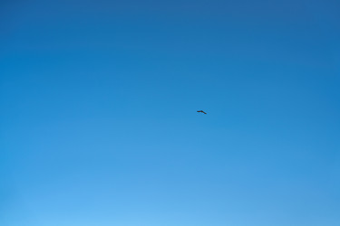 Similar image 22767265