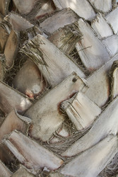 Similar image 22748157