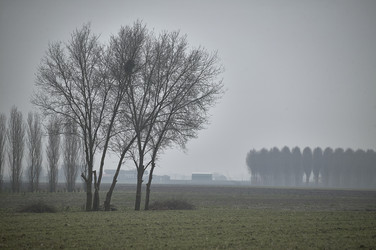 Similar image 22748860