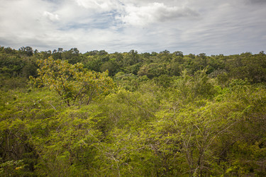 Similar image 22749528