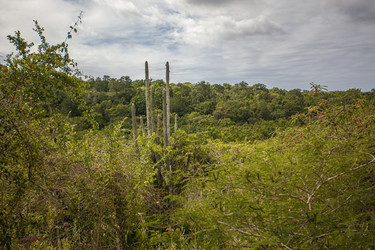 Similar image 22749823