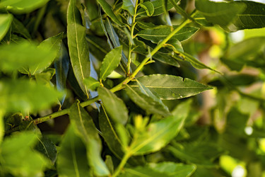 Similar image 22750101