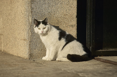 Similar image 22763882