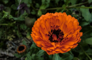 Similar image 22767339