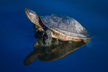 Similar image 22748742