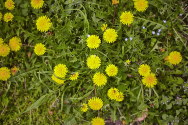 Similar image 22755928