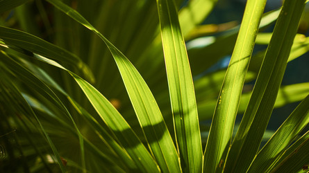 Similar image 22748051