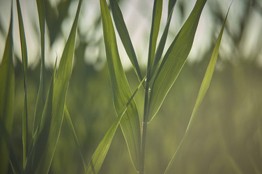 Similar image 22749650